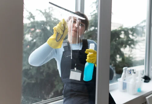 Nettoyage de vitres intérieures et extérieures à Champoléon